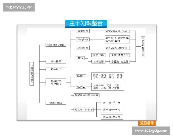 欧协杯决赛全流程规则详尽解析及重要观赛策略全方位实用权威指南