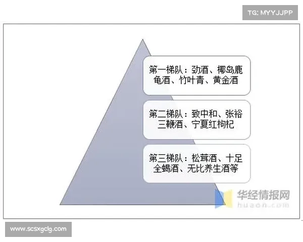 巴黎圣日耳曼豪购对全球足球市场格局的深远影响与未来趋势分析