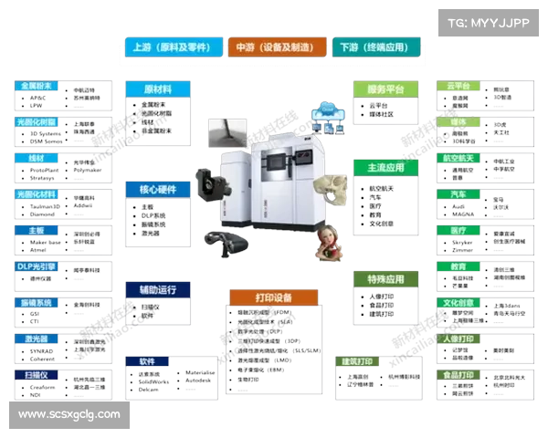 年轻球员成长之路必备六大核心要素全面解析